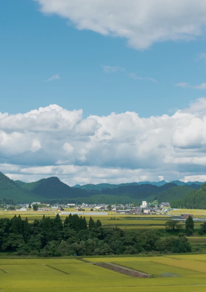 地球
