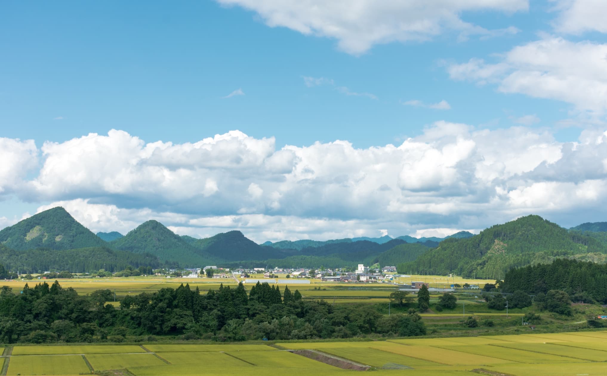 地域にやさしい